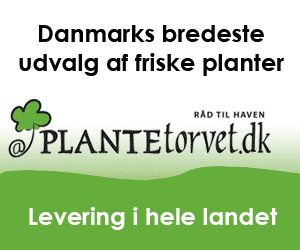 Plantetorvet.dk