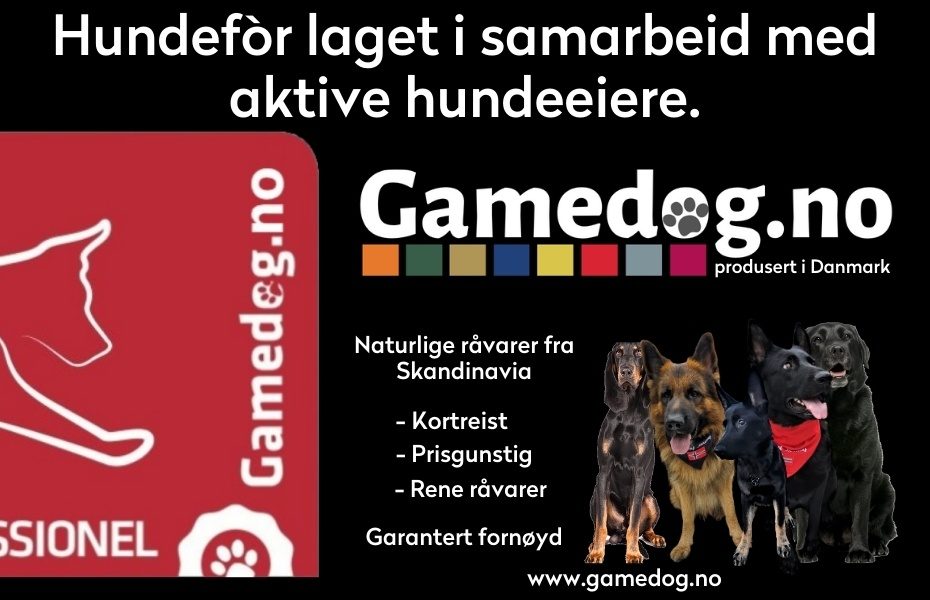 Gamedog Rabattkoder